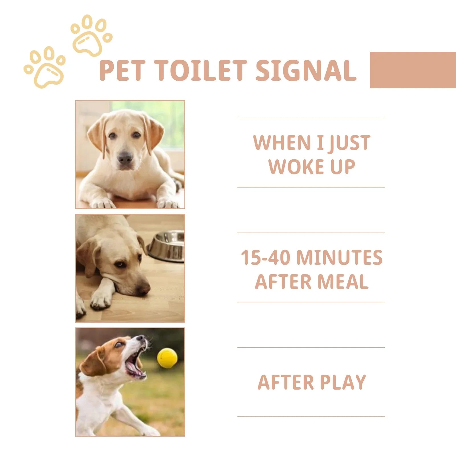Pet Defecation Inducer Spray – Indoor/Outdoor Cat & Dog Toilet Training Aid